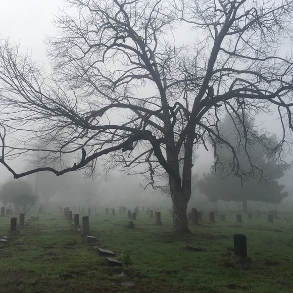 Meet your Posher, Lina - Picture 2 of 2